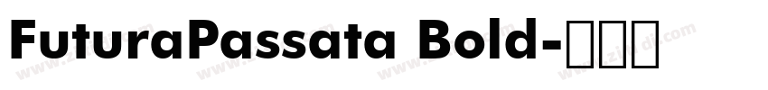 FuturaPassata Bold字体转换